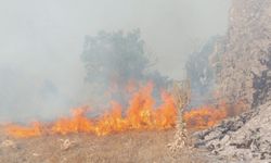 Diyarbakır’ın Lice kırsalında yangın