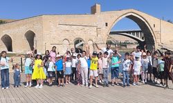 Diyarbakır'ın Silvan İlçesi'nde kültür-sanat harekatı!