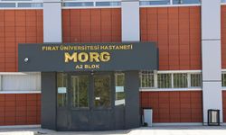 Elazığ'da taksici, araç içerisinde kuzeni tarafından öldürüldü
