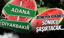 Diyarbakır mı Adana mı? Sonucu herkesi şaşırtacak