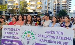 Diyarbakır'da kadın cinayetleri protesto edildi