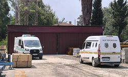 Kayıp gencin cansız bedeni bulundu