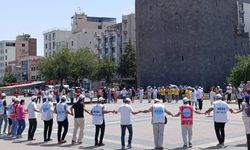 Diyarbakır'da KESK'ten halaylı eylem