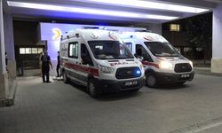 Komşuların yol kavgasında silahlar patladı: 2 yaralı