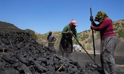 Mardin-Ankara hattında ekmek kavgası