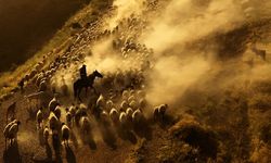 Yaşayana eziyet, görene tablo gibi gelen görüntüler