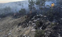 Diyarbakır Lice’deki orman yangını; helikopterler müdahale etti