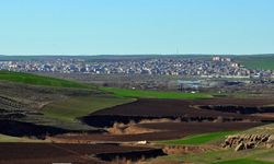 Diyarbakır’ın tahıl ambarı: Bismil