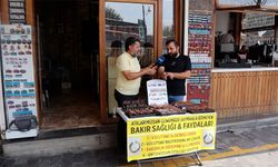 Diyarbakır’ın şifalı bakırı, turistlerin ilgi odağı oldu