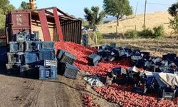 Diyarbakır'da domates yüklü tır devrildi, sürücü yaralandı