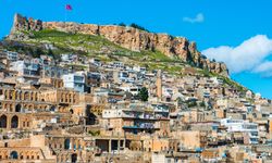 Mardin milletvekili uyardı: Yurttaşlar isyanda!