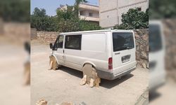 Mardin'de vatandaşın tedbiri gülümsetti