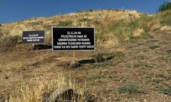 Narin Güran’ın ölüm yıldönümünde ilginç olay!