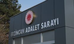 Raftingde taciz iddiası, 1 kişi tutuklandı