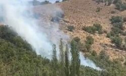 Şemdinli’de orman yangını, destek bekleniyor