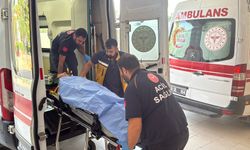 İşçileri taşıyan minibüs uçuruma yuvarlandı: 3 ölü, 18 yaralı