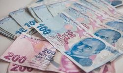 81 ilde birden verilecek: Başvuran emekli çifte promosyon alacak