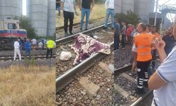 Yük treni kadına çarptı, olay yerinde hayatını kaybetti