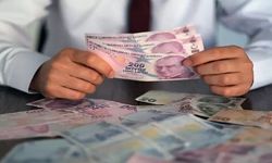 Vedat Işıkhan'dan en düşük emekli maaşı açıklaması 2026! En düşük emekli maaşı ne kadar olacak?