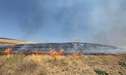 Van'da yüzlerce dönüm arazi kül oldu