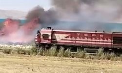 Van'da Erçek Gölü kıyısındaki sazlıklarda yangın