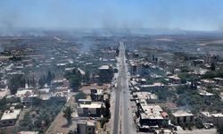 AF Örgütü: 46 Dürzi infaz edildi