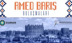 Diyarbakır’da “Amed Barış Buluşmaları” başlıyor
