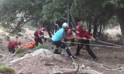 Avustralyalı turist tarihi Likya Yolu'nda ölü bulundu