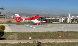 Ormanda hayvanlarını arayan kadına ayı saldırdı