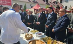 Bölgedeki 5 ilde planlanan "Bir Anadolu Şenliği" Tunceli’de başladı