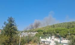 Bodrum’da orman yangını başladı