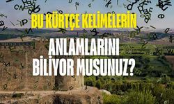 Bu Kürtçe kelimelerin anlamını biliyor musunuz? Çok az kişi ne olduğunu biliyor