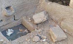 Diyarbakır’ın tarihi çeşmesi kaderine terk edildi