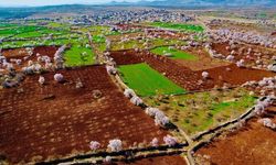 Diyarbakır Eğil’de çiftçilere hibe desteği sözü