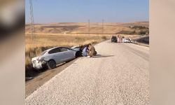 Diyarbakır Silvan yolu ölüm kapanına döndü: 10 saatte 5 kaza