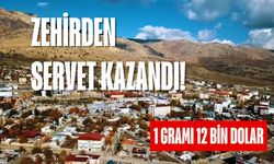 Diyarbakır'da zehirden servet kazandı! 1 gramı tam 12 bin dolar