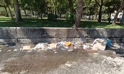 Diyarbakır’da bu görüntüler şok etti!