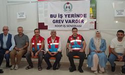 Diyarbakır'da grev krize neden oldu