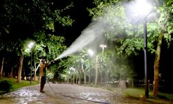 Diyarbakır’da ilaçlama ekibi tam kadro sahada