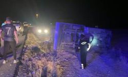 Diyarbakır’da kamyonet yoldan çıktı, 1 yaralı