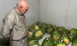 Diyarbakır'da karpuz yarışması başlıyor