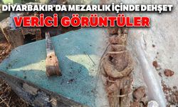 Diyarbakır’da mezarlık içinde dehşet verici görüntüler