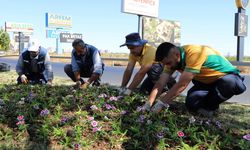 Diyarbakır’da refüj ve kavşaklara Çin karanfili