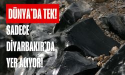Dünyada eşi yok, sadece Diyarbakır’da yer alıyor!