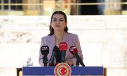 DEM Parti: Komisyon acilen İmralı’ya gitmeli