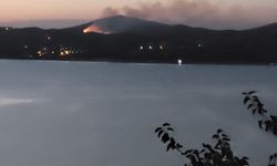 Hazar'da orman yangını başladı