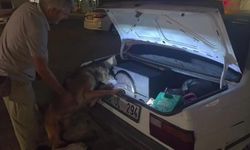 Hoparlörden 2 bine yakın uyuşturucu hap çıktı