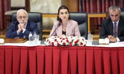 Koçyiğit: Antidemokratik uygulamalar süreci zehirliyor