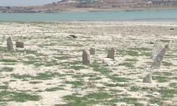 Kuraklığın acı manzarası, mezarlık ortaya çıktı