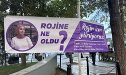 Rojin Kabaiş'i Van'da sordular: Nerede?